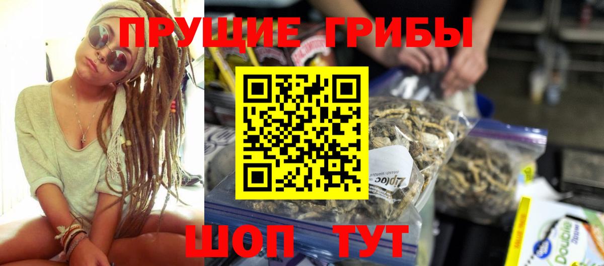 Псилоцибиновые грибы Psilocybine cubensis  Галлюциногенные грибы GOLDEN TEACHER  Каменск-Уральский  Вход с VPN 